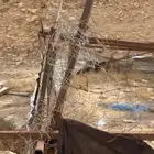 يوجد شبوك حق غنام البيع وادي العين