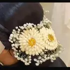 للفل البلدي