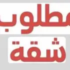 مطلوب شقة للإيجار