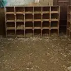 مطلوب دينا توصيل