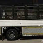 صندوق شبك دنه دينا 4 ونص