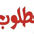 ارغب بالدور او شقه تمليك بسعر مناسب