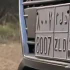 لوحة للبيع لأهل وعائلة الدلم ( على السوم )