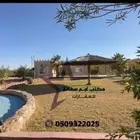 استراحة بين القاعد والخطة