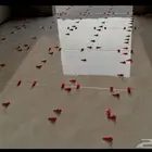 معلم سيراميك المدينه