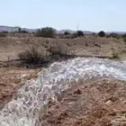 ماء بير طيب للبيع لأصحاب الحلال والمزارع قريب شعار