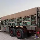 وادي الدواسر
