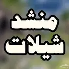 شيلات
