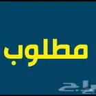 مطلوب دور ارضي للإيجار السنوي
