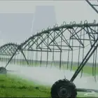 للايجار رشاش كهربا موسم بطاطس خضار