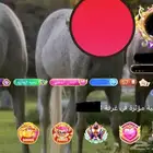 حساب ستار ميكر