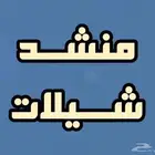 منشد تسجيل شيلات