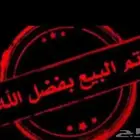 ذكرين كروان هولندية( تم البيع)