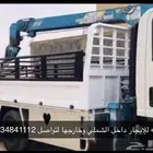 دينا مشاوير نقل الإبل داخل الشملي وخرجها