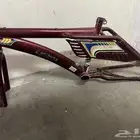 بدي سيكل