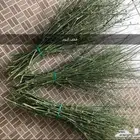 مرخ مندي وحنيذ