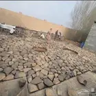 بنا جميع الحجر