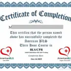 دورة الإنعاش CPR - BLS ساعات ممارس الدفع بعد الانجاز