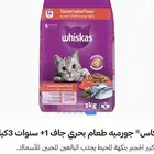 اكل قطط