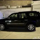 دينالي 2009 بدي وكاله