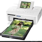 طابعة صور كانون SELPHY CP810