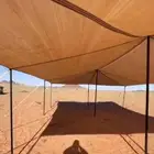 مضلات حلال_ مضلات_غنم