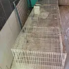 بطارية أرانب