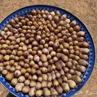 صفار ودخل(مصر)