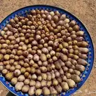 بقلاوه جديد