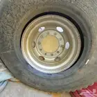 جنوط وايت . 2