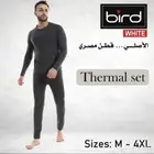 بجايم شتويه رجالي جملة الجمله