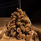 حطب سمر مستورد