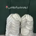 توفر مضير الدوادمي