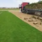 عمر المرحبي