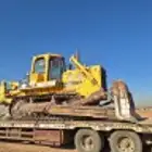 لوبد متواجد في حايل بقعاء القصيم