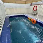 شاليه إيجار يومي