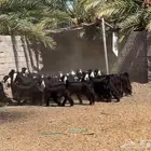 معزا عوارض