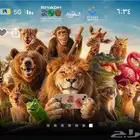 متوفر حديقة حيوانات رياض زوو جميع الايام 3 ريال