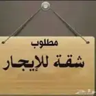 مطلوب شقه