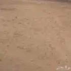 للبيع حوش في بيشة