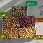 رطب الاحساء من مزرعتنا فرش الى الدمام