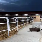 ايواء خيول اسطبلات خيول