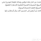 ابحث عن شقة (مودرن) غرفتين وصالة في شمال الرياض او شمال شرق