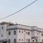 عماره مكونه من 4 شقق مؤجره بجيزان - ضمد