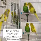 كل شي مكتوب