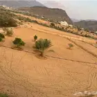 ارض زراعية مساحتها 1000م للبيع -محايل عسير -آل مشول