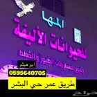 طيور زينه