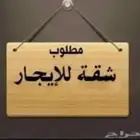 مطلوب شقه او ملحق في البدراني