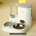 وعاء قطط
