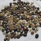 عقيق جزع يمني عيون